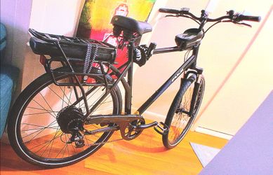 Fury Electrick Bike