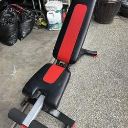 Bowflex Adjustable Workout Bench