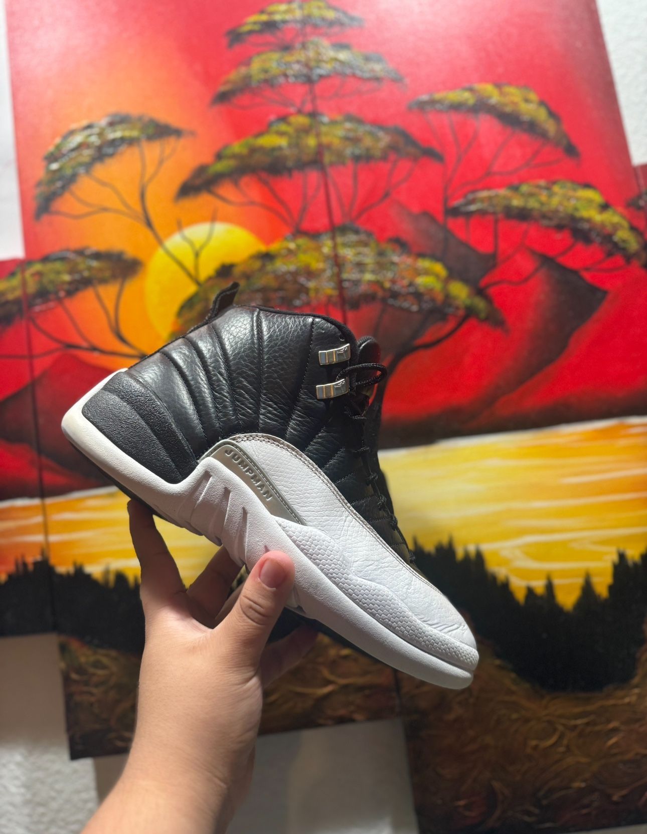 Jordan 12 Playoff Size 9