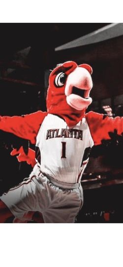 Hawks tickets