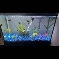 Fishtank