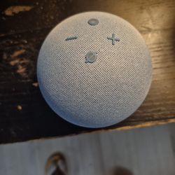 Alexa Echo Dot