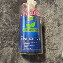 Pink Girly Lights (15 Ft) 