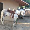 Benjamin