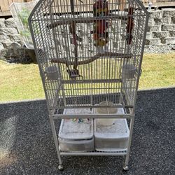  Bird Cage 