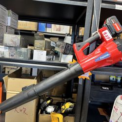Battery Powered Leaf Blowers for Town Care, Patio, Blowing Leaves and Snow