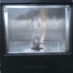 Bright Yard Light