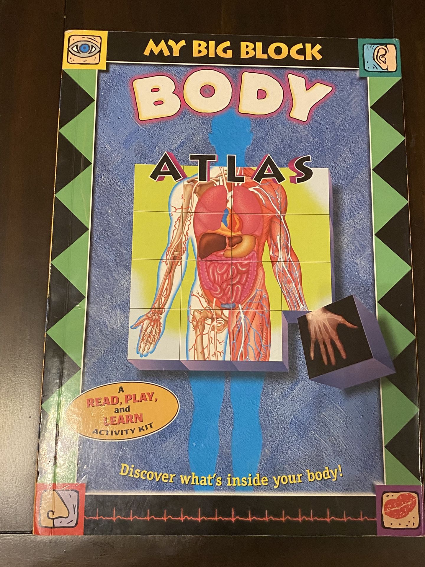 My Big Block Body Atlas