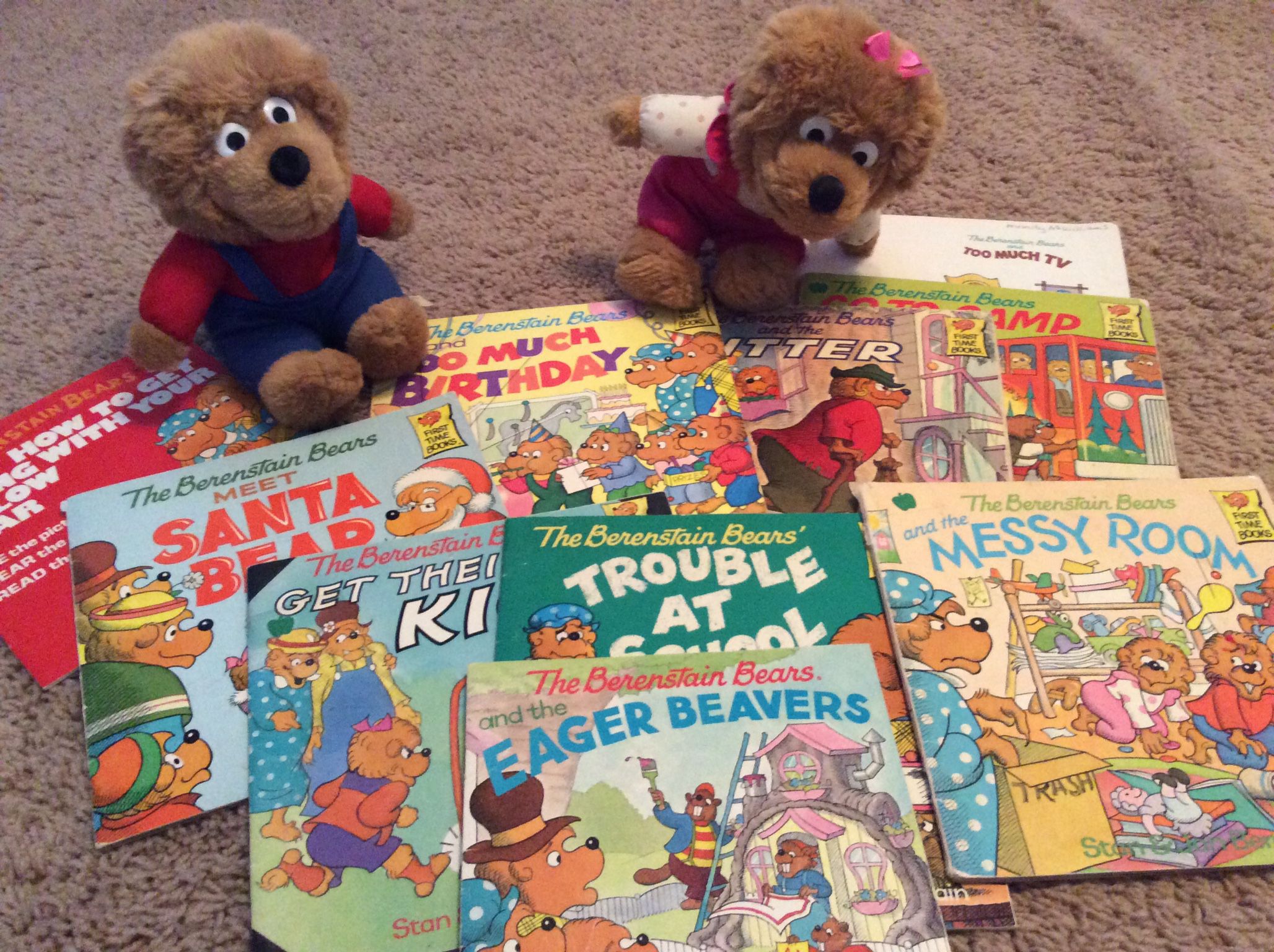 Berenstain Bears Book Collection With Stuffed Bear