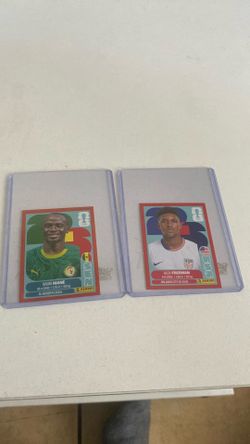 Panini red boarder stickers