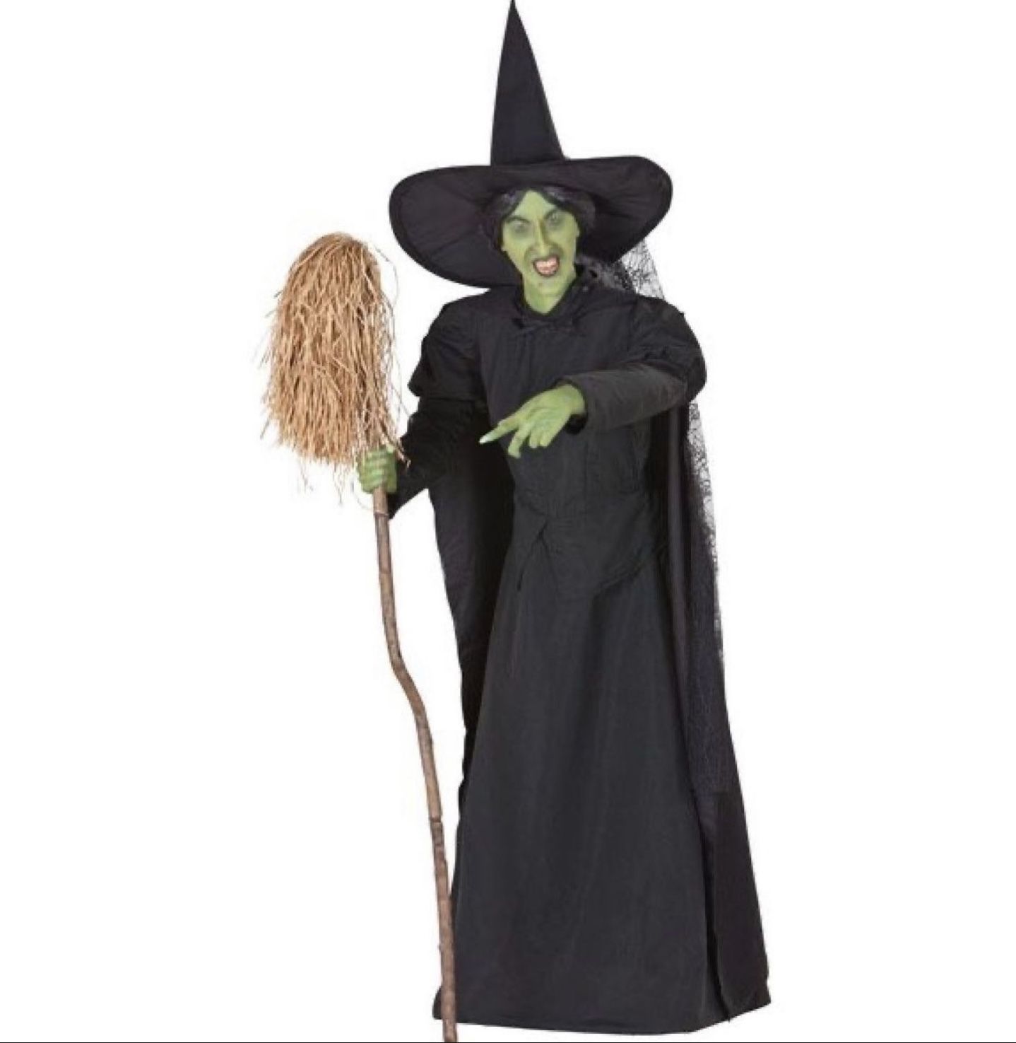 Halloween Wicked Witch Of The West