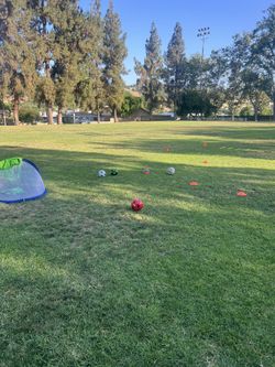 Soccer Training For Kids