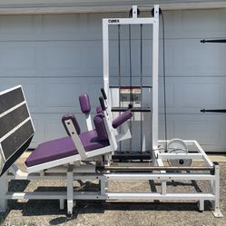Cybex Lying Horizontal Leg Press 500 Pounds Weight Stack
