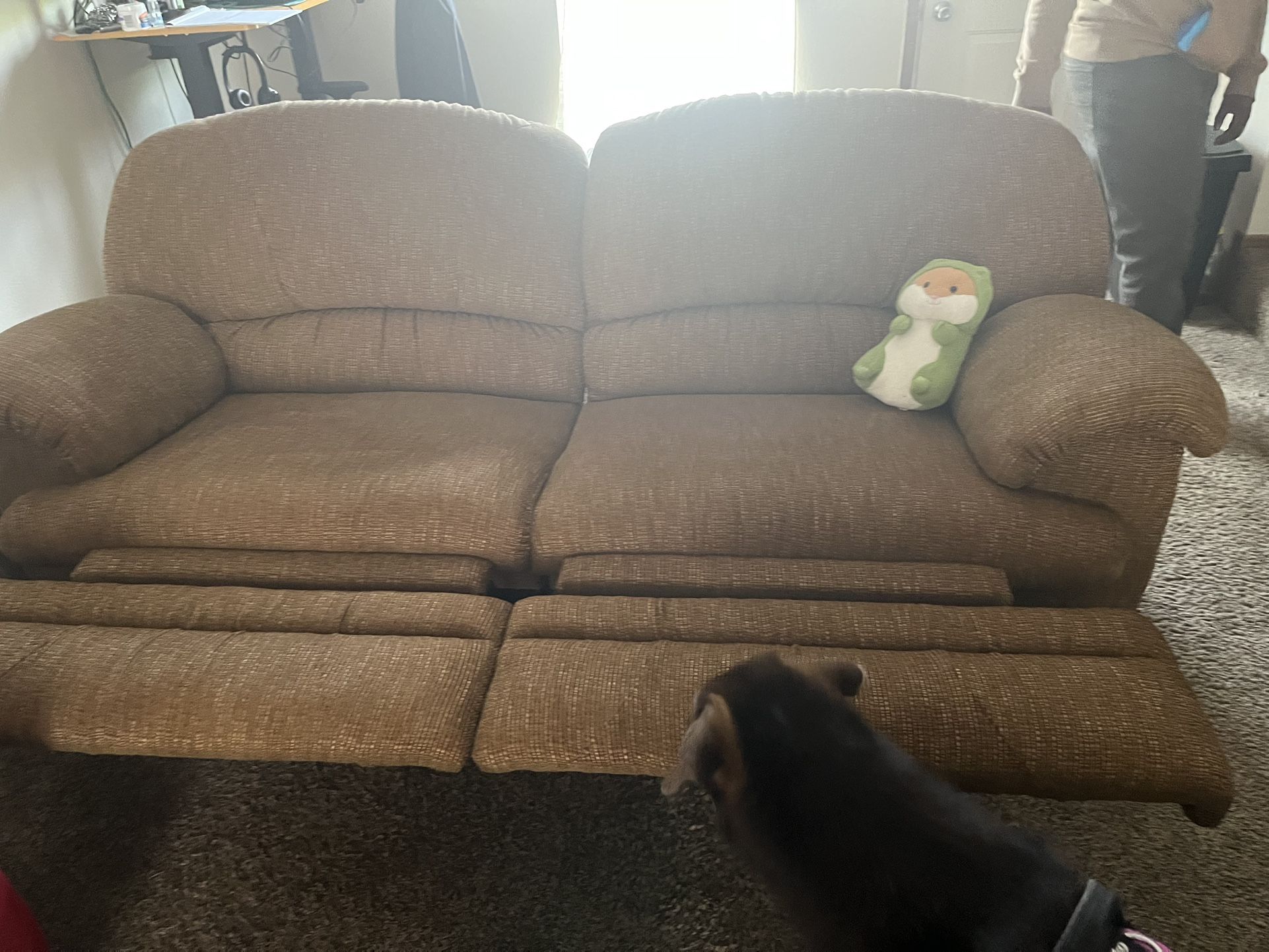 Dual Recliner
