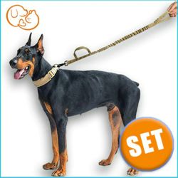 TACTICAL COLLAR AND LEASH SET
 BLACK  COLOR ; Size : XL