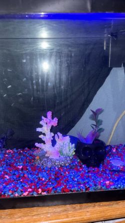 Fish tank