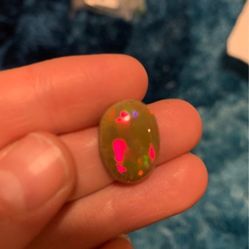 chocolate floral harlequin opal