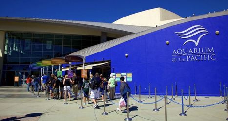 Aquarium of Pacific Tickets (Long Beach)