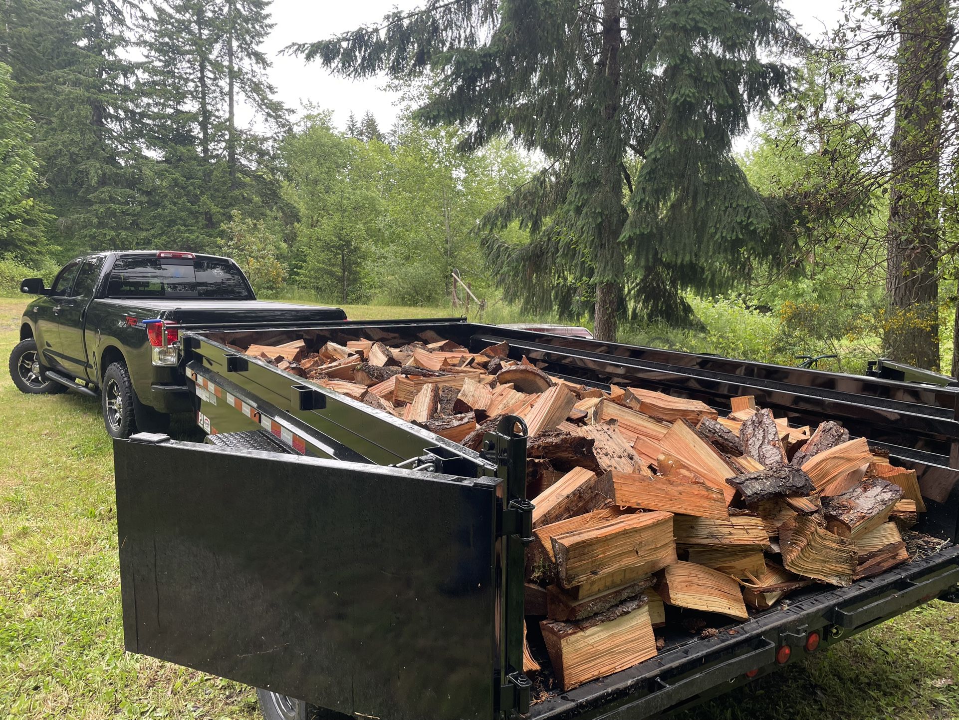 Seasoned Firewood (Ready to be hauled away)