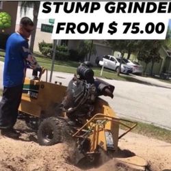 Stump Grinder 