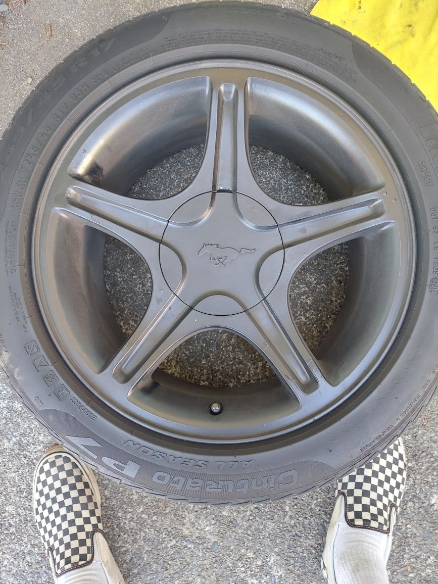 Mustang rims( PENDING PICK UP)