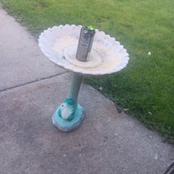 Bird Bath