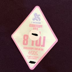 Coachella car camping