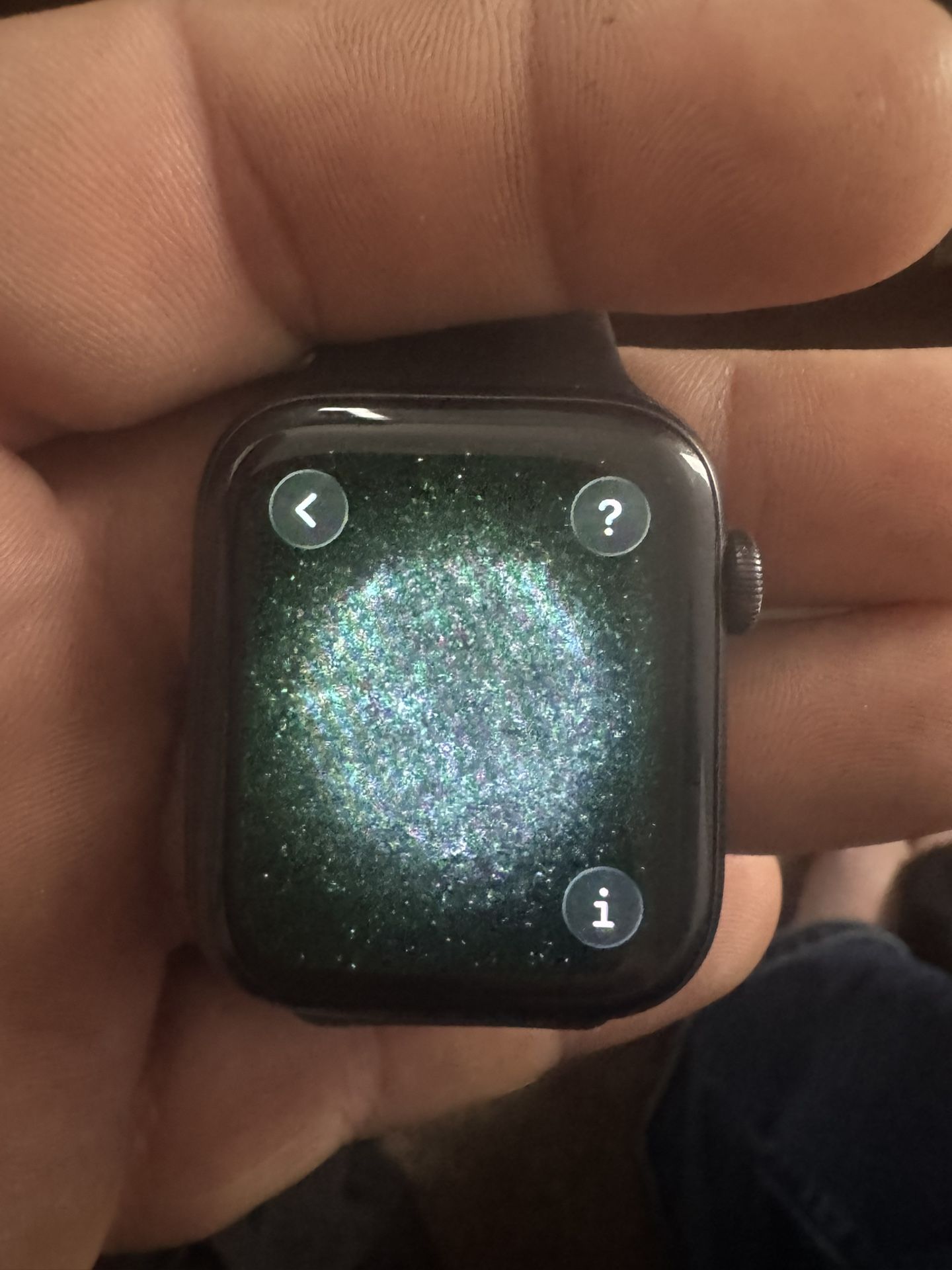 Apple Watch 