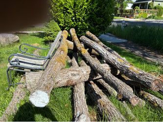 Black Walnut Logs!