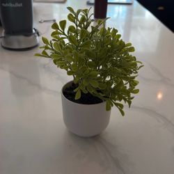 Faux Plant 