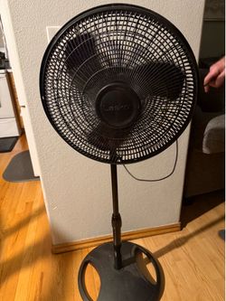 Fan