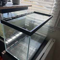 Fish Tank