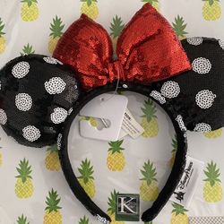 Minnie Mouse Ears