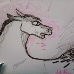 SMALL HORSE SKETCH OIL PASTELS ON PAPER UNFRAMED 8 X 5 INCHES HAND DRAWN ON PAPER UNFRAMED 