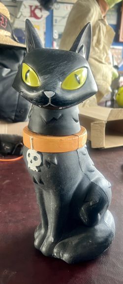 Halloween Cat