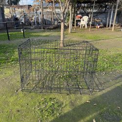 Dog Cage