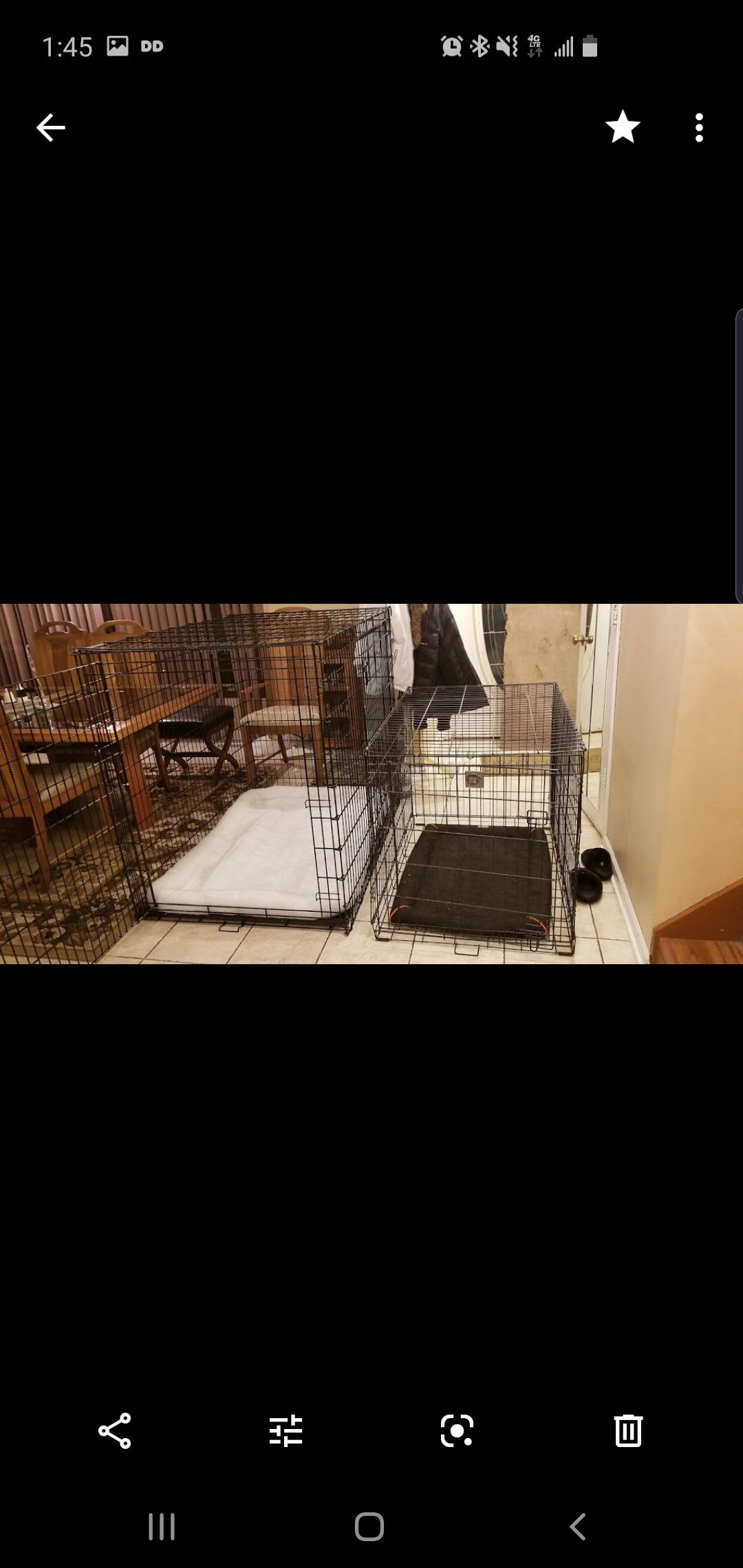 Xl dog crate with bedding like new!