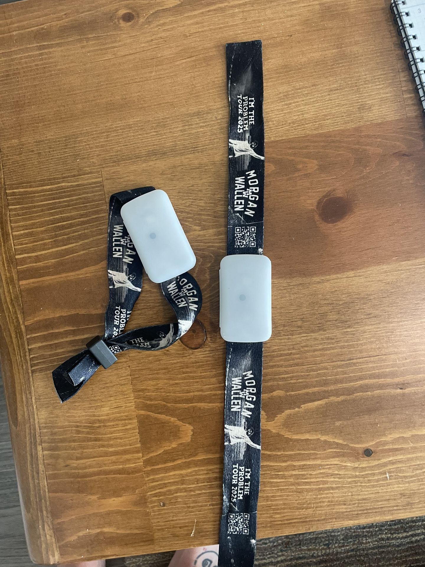 Morgan Wallen “I’m the Problem” Tour 2025 LED Wristbands (2 Pack)