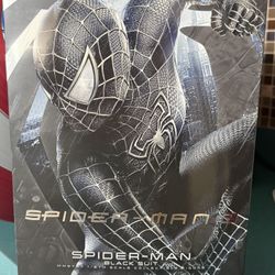 SPIDERMAN 3 HOT TOY