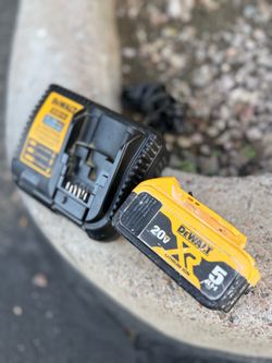 20v Dewalt 5.0 kit / Charger