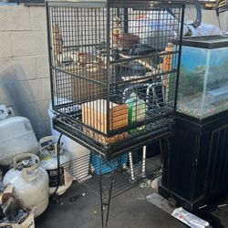 Bird Cage