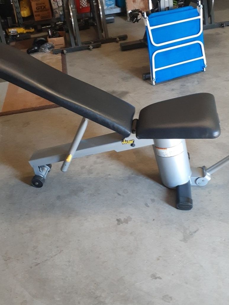 Vectra Workout Bench