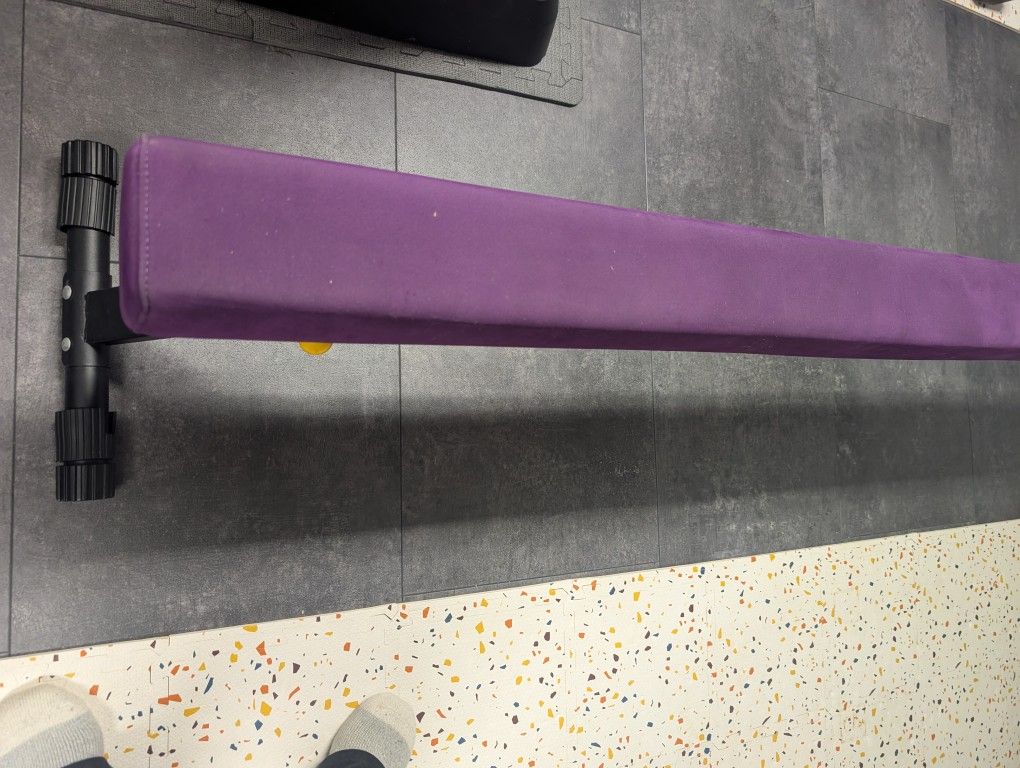 Balance Beam (Purple)