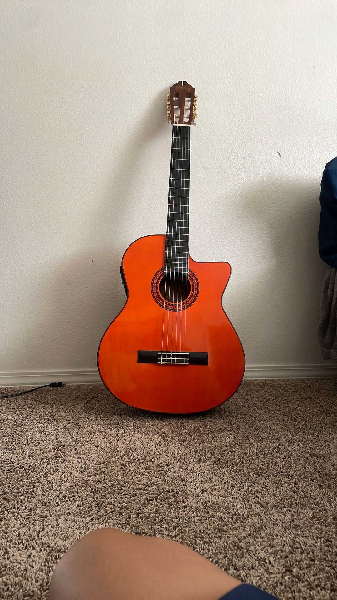 Washburn Guitar