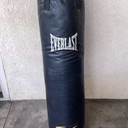Everlast Boxing bag
