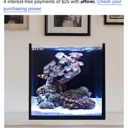 INNOVATIVE MARINE 15Gal AIO BRAND NEW FIRST $75 TAKES IT!!!!!!!!