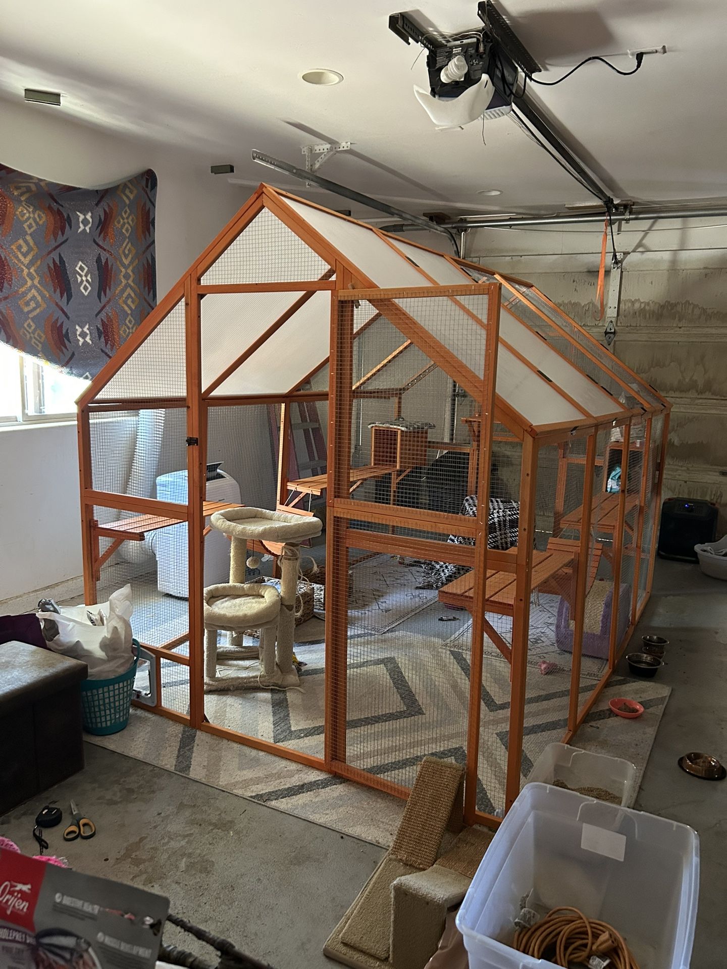 Giant Catio