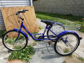 Adult Tricycle