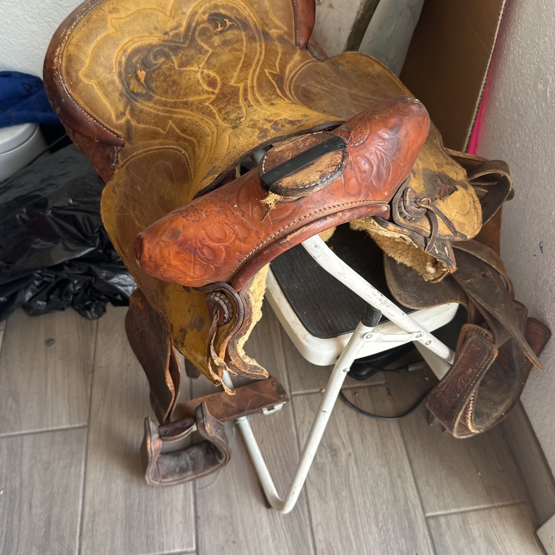 Montura $60