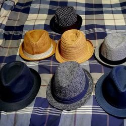 Fedora's ( 7 ) $50